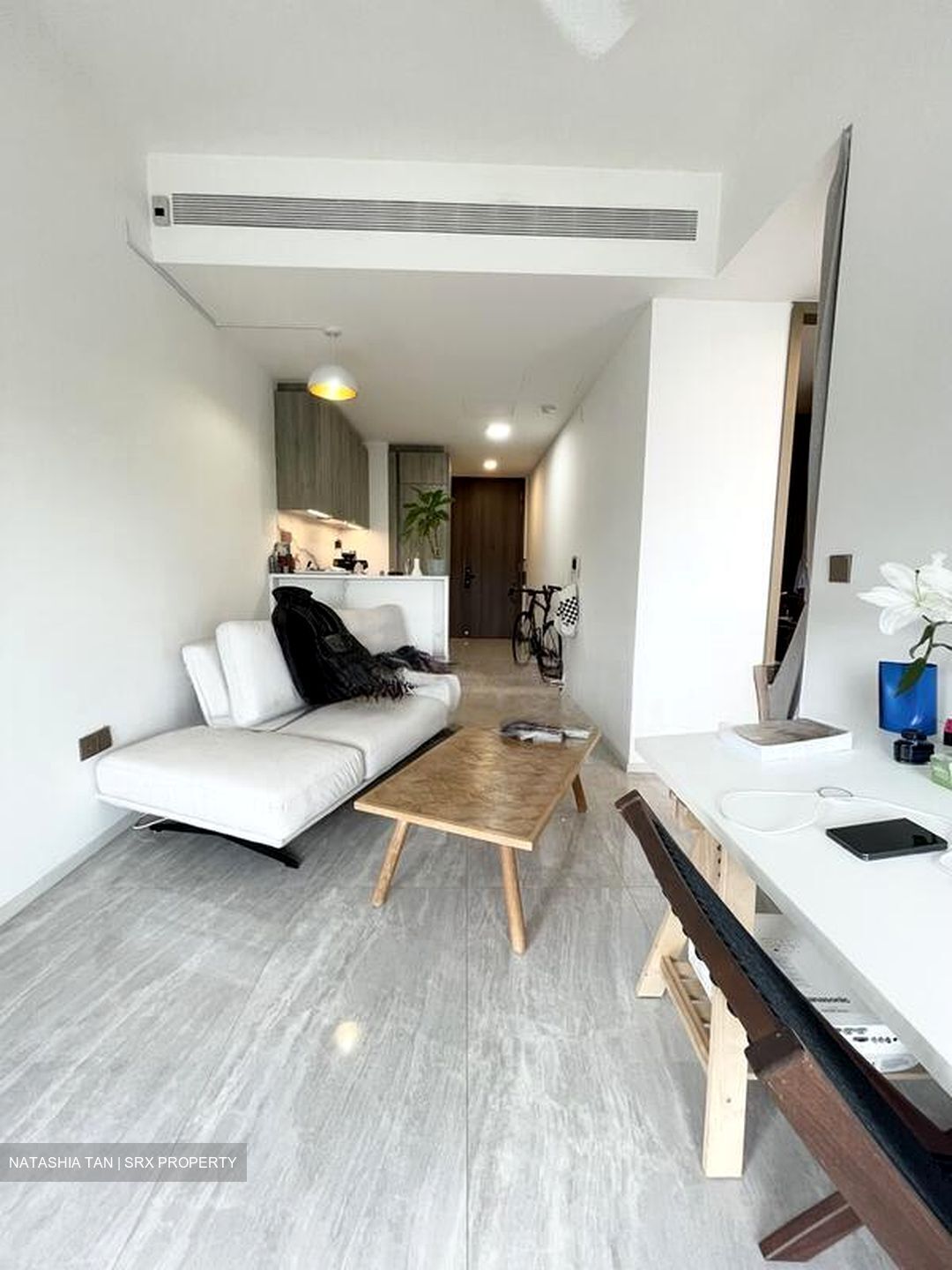 Leedon Green (D10), Condominium #524384311